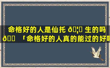 命格好的人是仙托 🦍 生的吗 🐠 「命格好的人真的能过的好吗」